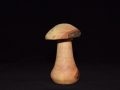 large_natural_mushroom_2