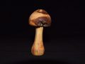 small_natural_mushroom_1