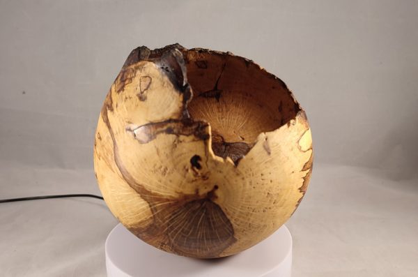 Spalted oak hollow form