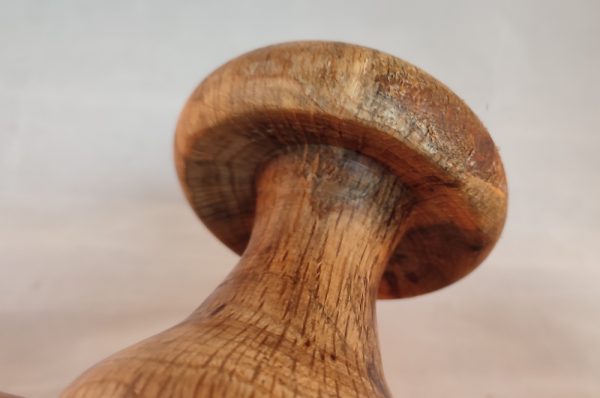small Spalted Oak mushroom