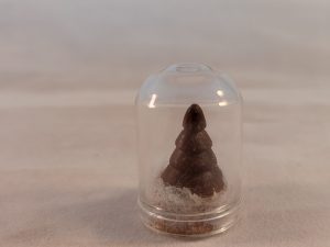 wenge tree in glass dome