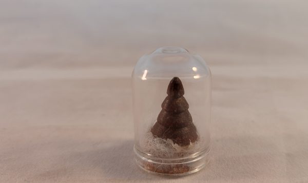 wenge tree in glass dome