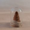 tiny brown tree in a glass dome